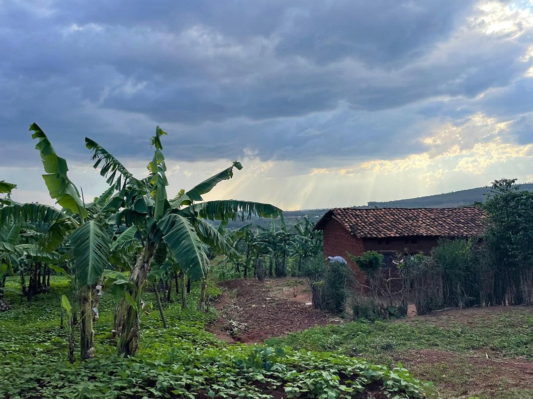 Landscape Rwanda